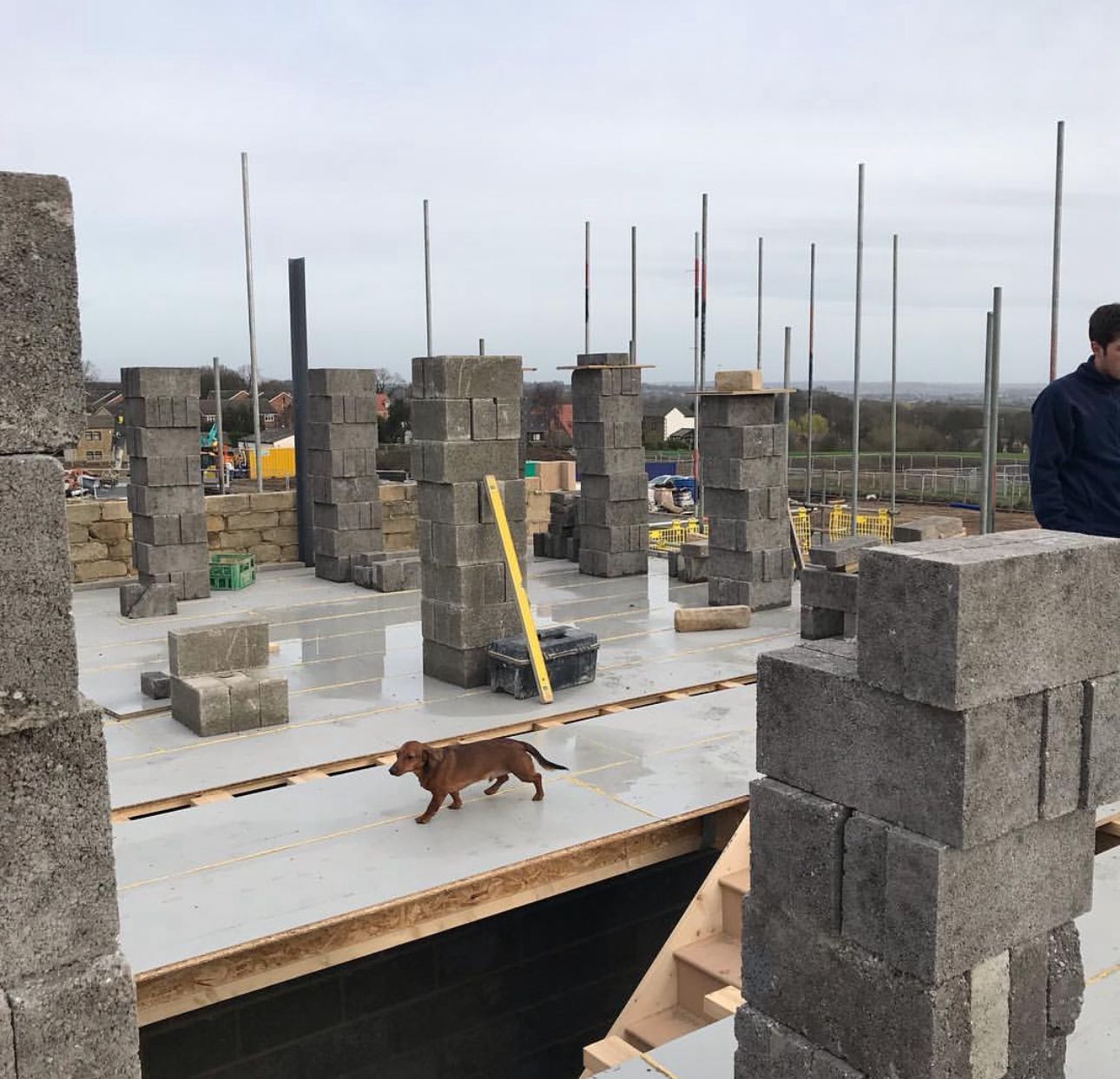 b23ed693-ecbb-43b5-a971-eb02489121f5